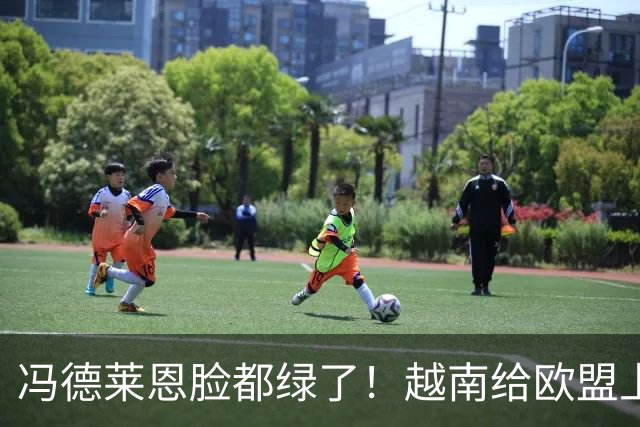 冯德莱恩脸都绿了！越南给欧盟上一课：去中国化？我们离不开中国