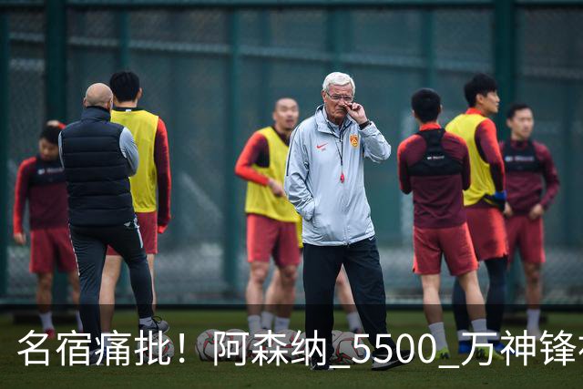 名宿痛批！阿森纳 5500 万神锋被彻底用废！阿尔特塔离谱毁人