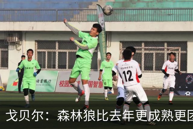 戈贝尔：森林狼比去年更成熟更团结 希望到五六月能应对任何挑战