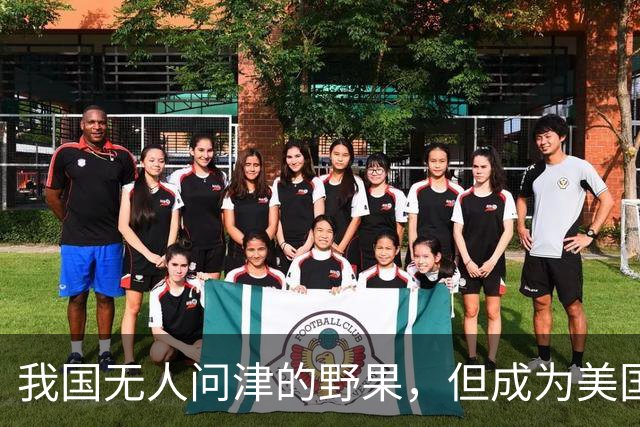 我国无人问津的野果，但成为美国人的心头宝，60元1斤供不应求？