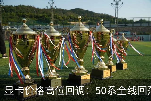 显卡价格高位回调：50系全线回落，30系被推回前台