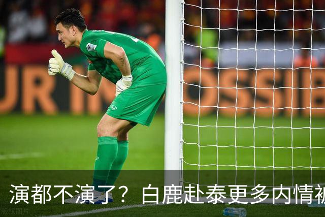 演都不演了？白鹿赴泰更多内情被扒，众星被连带，难怪不取消活动