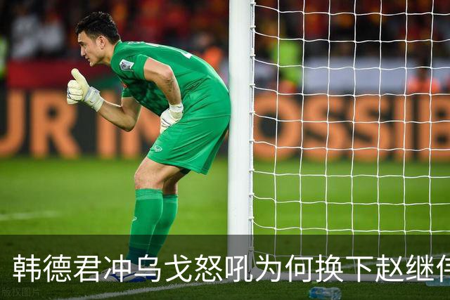 韩德君冲乌戈怒吼为何换下赵继伟？辽篮客场击败山东